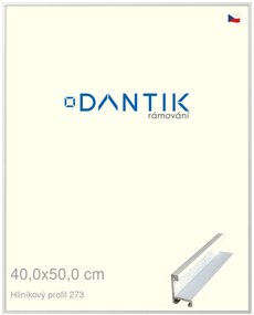 DANTIK rám na obraz 40x50 | ALU Bílá matná (Sklo Čiré)