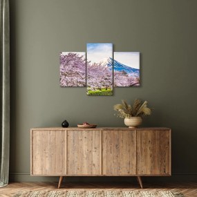 Obraz - Japonsko na jar (90x60 cm)