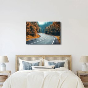 Obraz - Kľukatá cesta (90x60 cm)