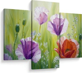 Obraz - Vlčie maky (90x60 cm)