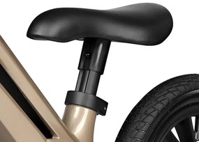 Odrážadlo Qplay Racer platinum