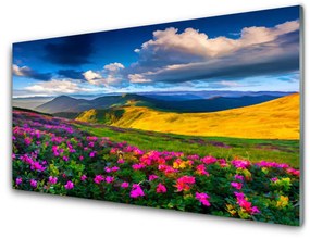 Obraz na skle Lúka kvety príroda 100x50 cm