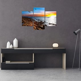 Obraz - Čajka letiaca nad pobrežím (90x60 cm)