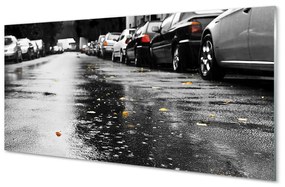 Obraz na skle Car jesenné lístie cesty 120x60 cm