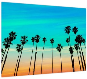 Obraz - Kalifornia (70x50 cm)