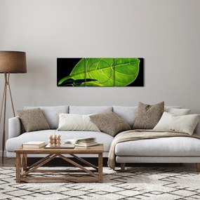 Obraz - zelený list (s hodinami) (90x30 cm)