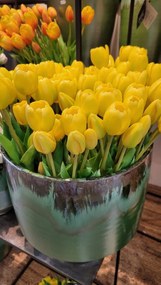 Kytica 7ks žltých realistických tulipánov - 31cm