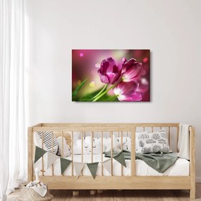 Obraz ružových tulipánov (90x60 cm)
