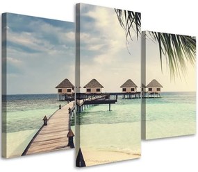 Obraz na plátně třídílný Plážové palmy Tropics - 60x40 cm