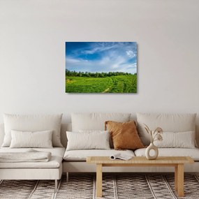 Sklenený obraz lúky (70x50 cm)
