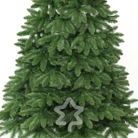 Smrek Kanadský 2D 220 cm
