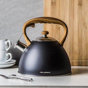 Florina Čajník Frank 2,5 l, čierna