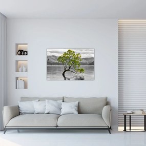 Obraz stromu uprostred jazera (90x60 cm)