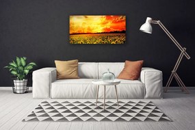 Obraz Canvas Lúka slnečnica kvety 120x60 cm