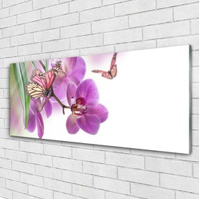 Obraz plexi Motýle kvety príroda 125x50 cm