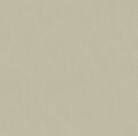 Lentex, PVC podlaha - lino Flexar PUR 603-05 béžová, na mieru, šíře 2m,4m, béžová, bez podkladu, kancelária