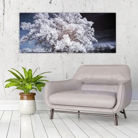 Obraz - Snehobiely strom (120x50 cm)