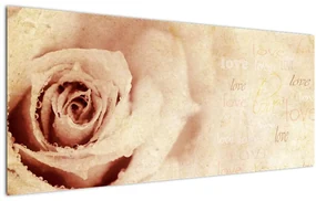 Obraz - Kvet ruže pre zaľúbených (120x50 cm)