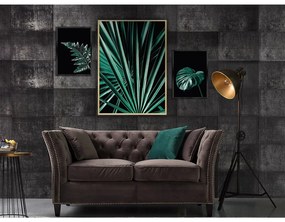 Súbor obrazov Botanica 3 ks