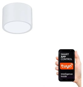 Immax NEO 07024L-15 - LED Stmievateľné stropné svietidlo RONDATE LED/12W/230V Tuya