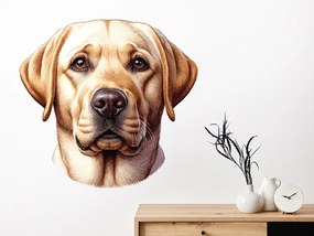 Pes Zlatý Retriever textilní prelepiteľná nálepka na stenu list 45 x 42 cm