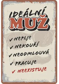 Ceduľa BU20054 20x30 cm Ideálny muž