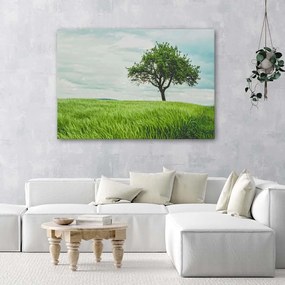 Gario Obraz na plátne Strom v poli Rozmery: 60 x 40 cm