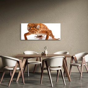 Obraz jašterice (120x50 cm)
