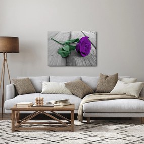 Obraz - Fialová ruža so zelenou stonkou (70x50 cm)