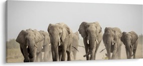 Obraz - Slonie stádo (120x50 cm)