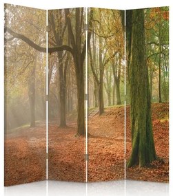 Gario Paraván Jeseň v lese Rozmery: 145 x 170 cm, Prevedenie: Klasický paraván