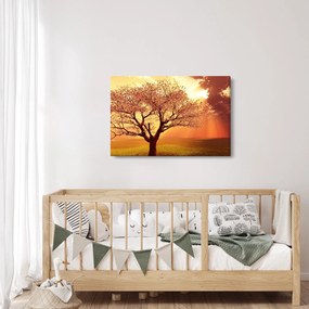 Obraz lúčov Boha (90x60 cm)