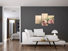 Obraz na stenu - ruže