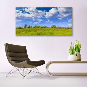 Obraz plexi Lúka tráva nebo krajina 120x60 cm