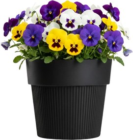 PLASTOVÝ KVETINÁČ SILVA LINE 14,5X13 CM ČIERNA