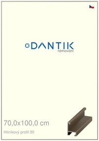 DANTIK rám na obraz 70x100 | ALU champagne (Plexi Čiré)