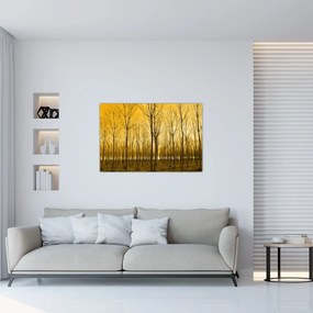 Obraz - Plantáž stromov (90x60 cm)