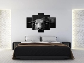 Obraz - Krava (150x105 cm)