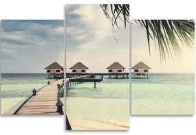 Obraz na plátně třídílný Plážové palmy Tropics - 60x40 cm