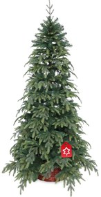 Smrek Natura 150 cm