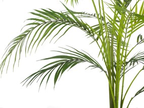 Umelá rastlina v kvetináči 124 cm ARECA PALM   Beliani