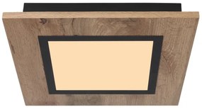 Globo 67292D2 - LED Stropné svietidlo LEA LED/12W/230V