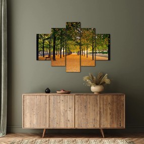 Obraz aleje jesenných stromov (150x105 cm)