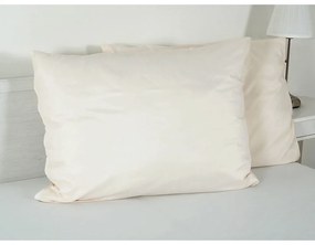 Obliečka na vankúš z mikrovlákna 70x90 cm Summer – B.E.S.