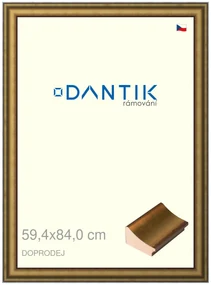 DANTIK rám na obraz 59,4x84 | Doprodej | METAL AU prohlá velká (Plexi Čiré)