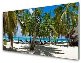 Skleneny obraz Pláž palma stromy príroda 140x70 cm