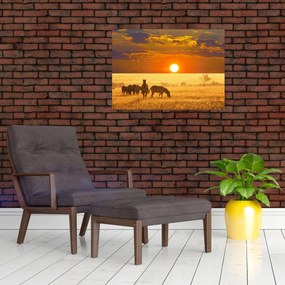 Obraz - Zebry so západom slnka (70x50 cm)