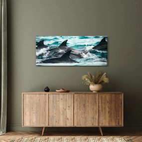 Obraz - Delfíny v oceáne (120x50 cm)