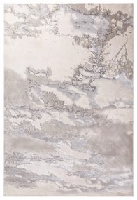 Sivý koberec 290x200 cm Aurora - Asiatic Carpets