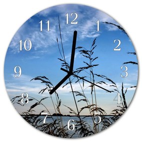 Sklenené hodiny okrúhle Tráva fi 30 cm
